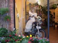Motorradbraut &ndash; &copy; Adelheid Fritzsche (Eberhardt TRAVEL)