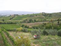 das Weingut Montaioncino &ndash; &copy; Dirk Schlosser (Eberhardt TRAVEL)