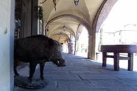 Greve &ndash; &copy; Petra Sauer (Eberhardt TRAVEL)