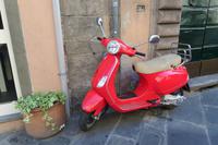 Lucca &ndash; &copy; Petra Sauer (Eberhardt TRAVEL)