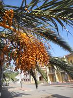 und Palmen &ndash; &copy; Martina Wutzler (Eberhardt TRAVEL)