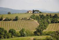 Bauerhof in der Nähe von Empoli &ndash; &copy; Philipp Schmitz (Eberhardt TRAVEL)