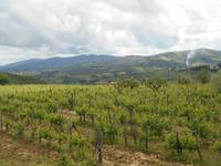 Chianti-Weinstrasse &ndash; &copy; Katrin Deutschbein (Eberhardt TRAVEL)