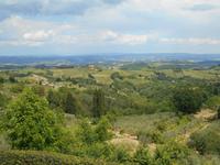 Umgebung von San Gimignano &ndash; &copy; Katrin Deutschbein (Eberhardt TRAVEL)