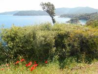 Insel Elba (Paulina-Felsen) &ndash; &copy; Katrin Deutschbein (Eberhardt TRAVEL)