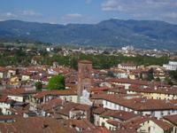Lucca_Torre_Guignigi (4) &ndash; &copy; Andreas Höhn (Eberhardt TRAVEL)
