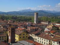 Lucca_Torre_Guignigi (1) &ndash; &copy; Andreas Höhn (Eberhardt TRAVEL)