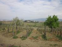 Empoli_Bauernhof (1) &ndash; &copy; Andreas Höhn (Eberhardt TRAVEL)