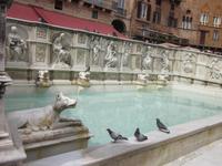 Siena_Campo_Fonte_Gaia_Quercia (2) &ndash; &copy; Andreas Höhn (Eberhardt TRAVEL)