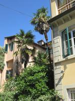 Lucca &ndash; &copy; Heike Heinen (Eberhardt TRAVEL)