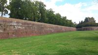 Lucca (Stadtmauer) &ndash; &copy; Katrin Deutschbein (Eberhardt TRAVEL)
