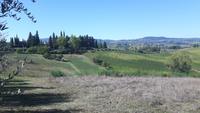 Agriturismo 