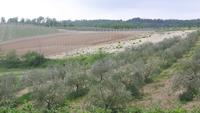 Agriturismo 