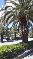Insel Elba (Marina di Campo) &ndash; &copy; Katrin Deutschbein (Eberhardt TRAVEL)
