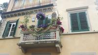 Lucca