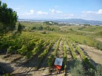 Bauernhof bei Empoli &ndash; &copy; Grit Wendelberger (Eberhardt TRAVEL)