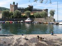 Torri del Benaco &ndash; &copy; petra sauer (Eberhardt TRAVEL)