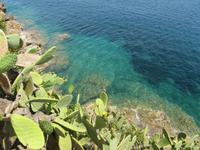 Elba &ndash; &copy; petra sauer (Eberhardt TRAVEL)