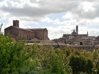 Siena &ndash; &copy; Ingrid Langer (Eberhardt TRAVEL)