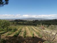 Toskana &ndash; &copy; Ingrid Langer (Eberhardt TRAVEL)