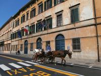 Pisa &ndash; &copy; Ingrid Langer (Eberhardt TRAVEL)
