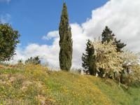 Agriturismo Vecchio Maneggio  &ndash; &copy; Ingrid Langer (Eberhardt TRAVEL)