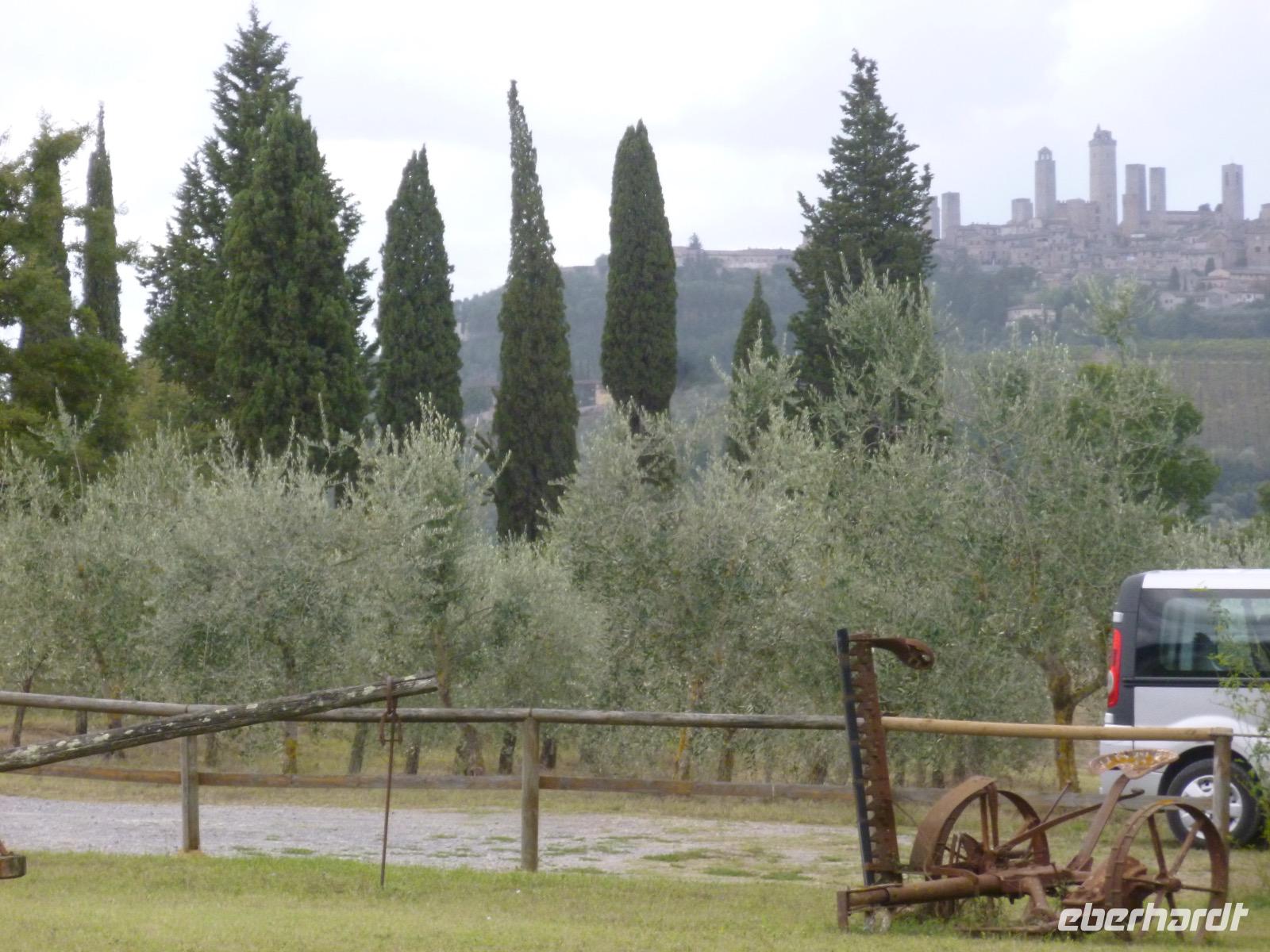 Safran Agriturismo &ndash; &copy; Grit Wendelberger (Eberhardt TRAVEL)