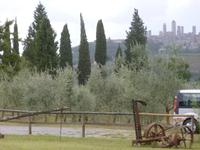 Safran Agriturismo &ndash; &copy; Grit Wendelberger (Eberhardt TRAVEL)