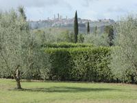 Safran Agriturismo &ndash; &copy; Grit Wendelberger (Eberhardt TRAVEL)