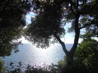Miramare_Impress._2 &ndash; &copy; Walburga Lindner (Eberhardt TRAVEL)