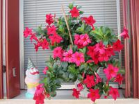 Laguneninsel Burano &ndash; &copy; Heike Heinen (Eberhardt TRAVEL)