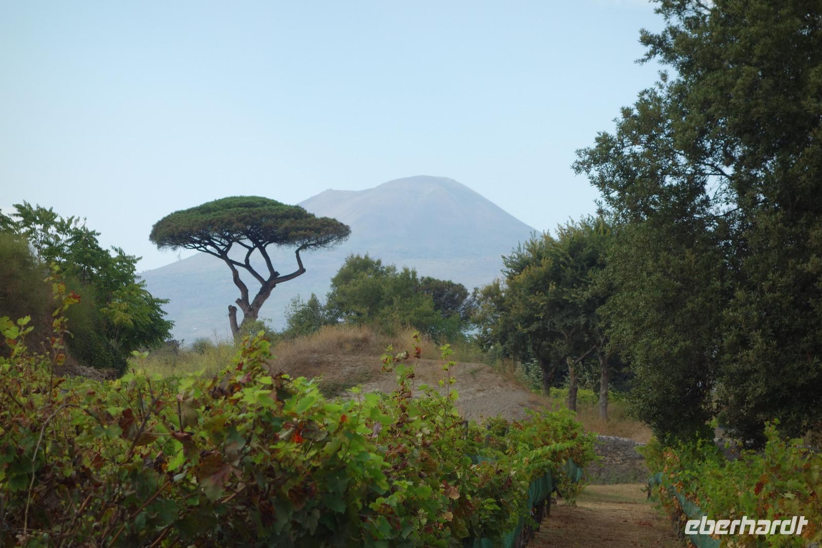 Pompeji (41) &ndash; &copy; Benjamin Rodriguez Manzanares (Eberhardt TRAVEL)
