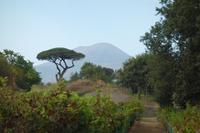 Pompeji (41) &ndash; &copy; Benjamin Rodriguez Manzanares (Eberhardt TRAVEL)