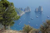 Wanderung durch das wilde Capri (68) &ndash; &copy; Benjamin Rodriguez Manzanares (Eberhardt TRAVEL)