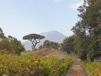 Pompeji (8) &ndash; &copy; Benjamin Rodriguez Manzanares (Eberhardt TRAVEL)