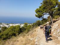 Wanderung durch das wilde Capri (41) &ndash; &copy; Benjamin Rodriguez Manzanares (Eberhardt TRAVEL)