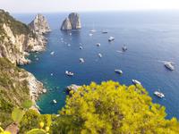 Wanderung durch das wilde Capri (49) &ndash; &copy; Benjamin Rodriguez Manzanares (Eberhardt TRAVEL)