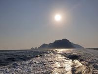 Wanderung durch das wilde Capri (50) &ndash; &copy; Benjamin Rodriguez Manzanares (Eberhardt TRAVEL)