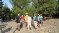 Wandergruppe vor einem Pfefferbaum &ndash; &copy; Maja Petermann (Eberhardt TRAVEL)