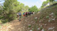 Wandergruppe &ndash; &copy; Maja Petermann (Eberhardt TRAVEL)