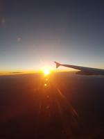 Heimflug &ndash; &copy; Maja Petermann (Eberhardt TRAVEL)