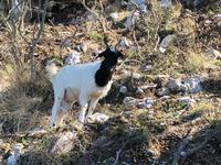 Monte Solaro_6 &ndash; &copy; Thomas Mühlbauer (Eberhardt TRAVEL)