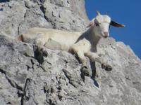 Monte Solaro_10 &ndash; &copy; Thomas Mühlbauer (Eberhardt TRAVEL)