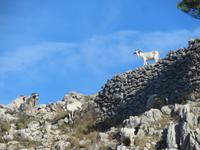 Monte Solaro_11 &ndash; &copy; Thomas Mühlbauer (Eberhardt TRAVEL)