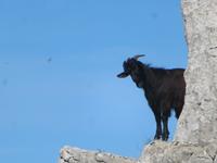 Monte Solaro_13 &ndash; &copy; Thomas Mühlbauer (Eberhardt TRAVEL)