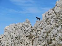 Monte Solaro_14 &ndash; &copy; Thomas Mühlbauer (Eberhardt TRAVEL)