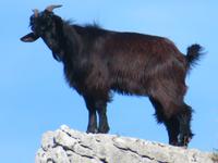 Monte Solaro_15 &ndash; &copy; Thomas Mühlbauer (Eberhardt TRAVEL)