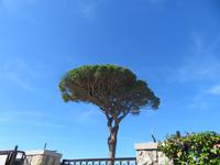 Capri_3 &ndash; &copy; Thomas Mühlbauer (Eberhardt TRAVEL)