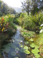 Botanischer Garten La Mortella_2 &ndash; &copy; Thomas Mühlbauer (Eberhardt TRAVEL)