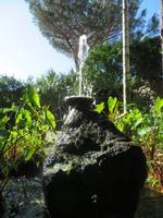 Botanischer Garten La Mortella_8 &ndash; &copy; Thomas Mühlbauer (Eberhardt TRAVEL)